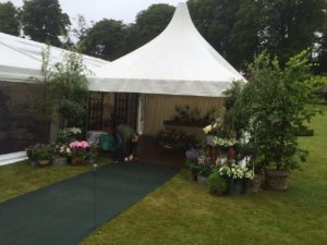 Hawa Fatimata  Kone Pagodas  